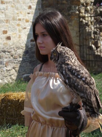 Festivalul de Artă Medievală „Ștefan cel Mare”