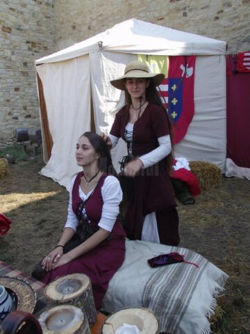 Festivalul de Artă Medievală „Ștefan cel Mare”