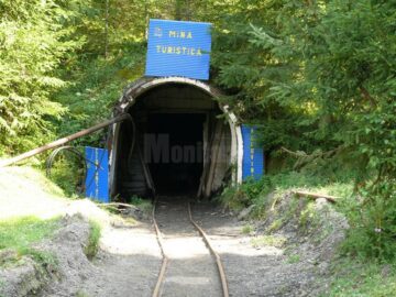 Festivalul Național al Păstrăvului, la Ciocănești