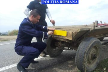 Acțiune a ploliției de informare și responsabilizare a căruțașilor