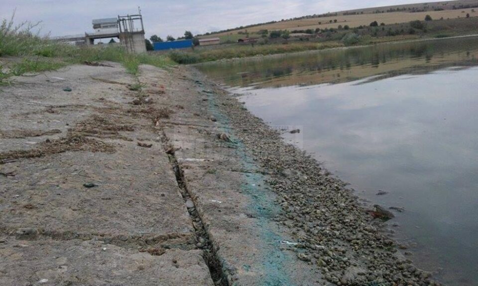 Pești morți în iazul de la Lipoveni