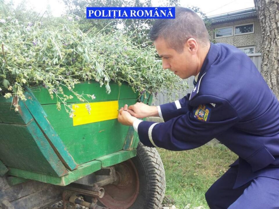 Acțiune a ploliției de informare și responsabilizare a căruțașilor