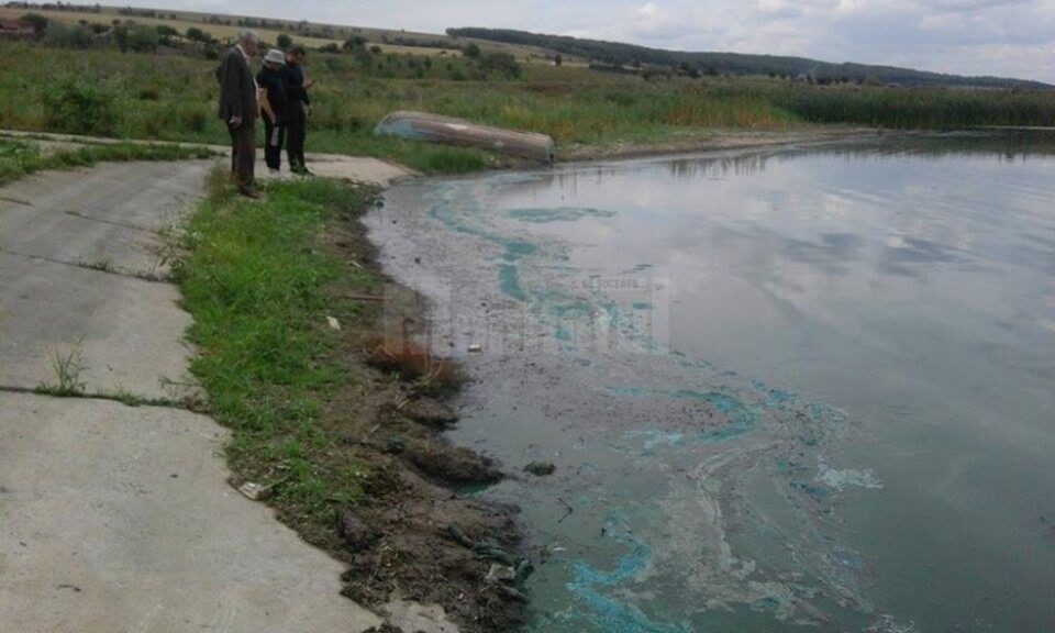 Pești morți în iazul de la Lipoveni