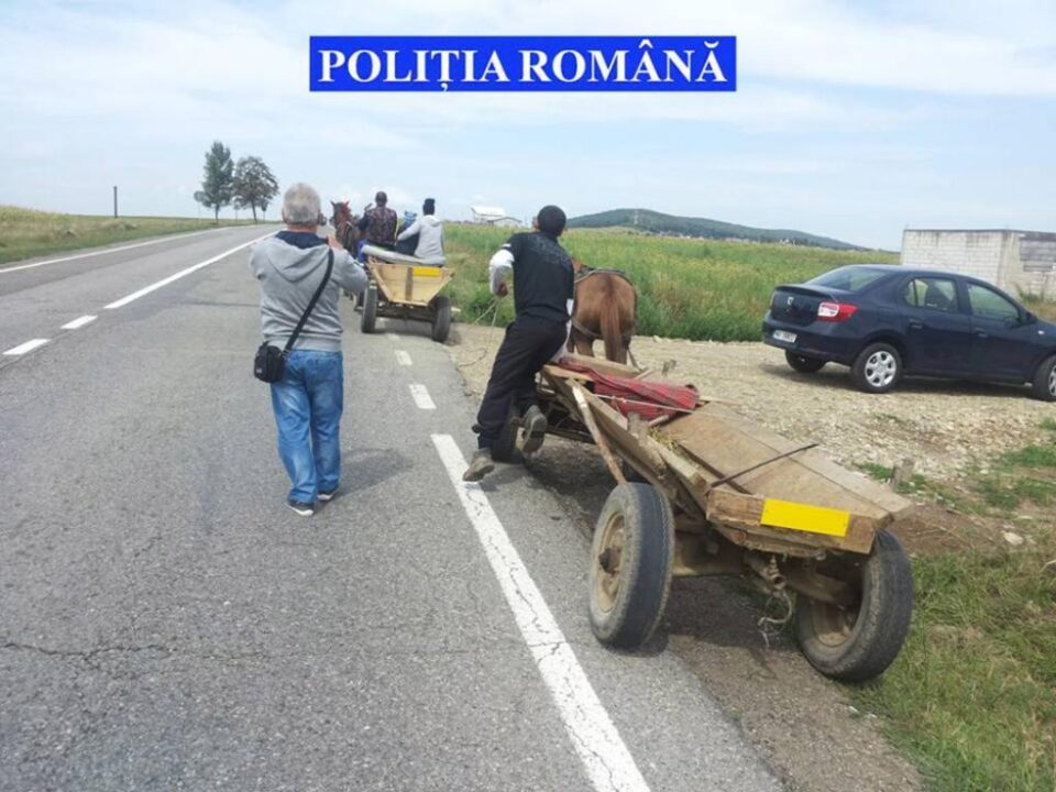 Acțiune a ploliției de informare și responsabilizare a căruțașilor