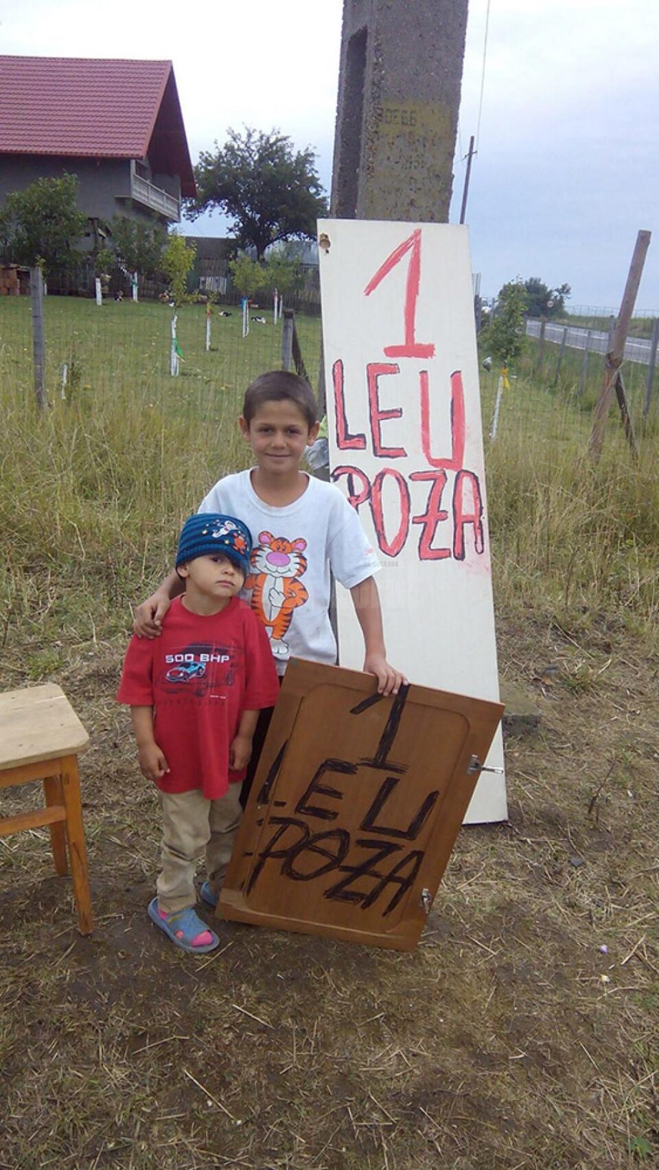 1 leu poza