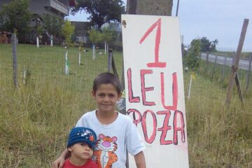 1 leu poza