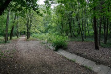 Împroprietărirea în Parcul Șipote s-a făcut după 1990, fie prin hotărâri judecătorești care au stabilit drept de reconstituire a dreptului de proprietate