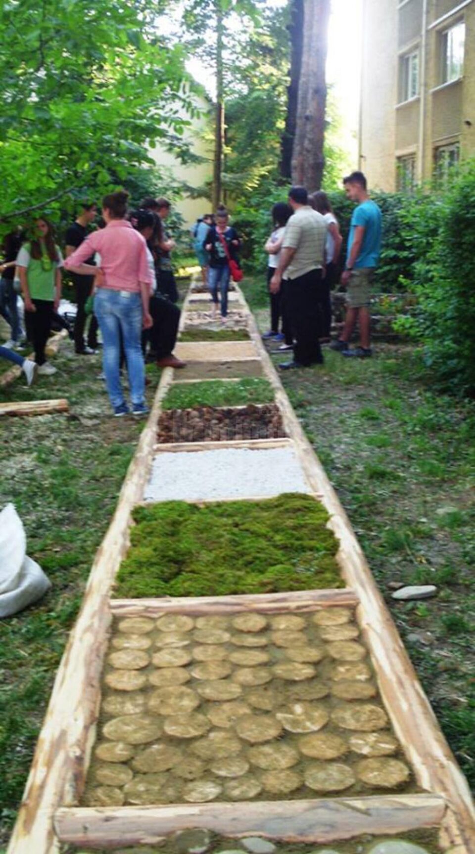 Singura alee terapeutică din regiunea de Nord-Est a fost amenajată la Colegiul „Petru Rareș” de voluntari din Ciumârna
