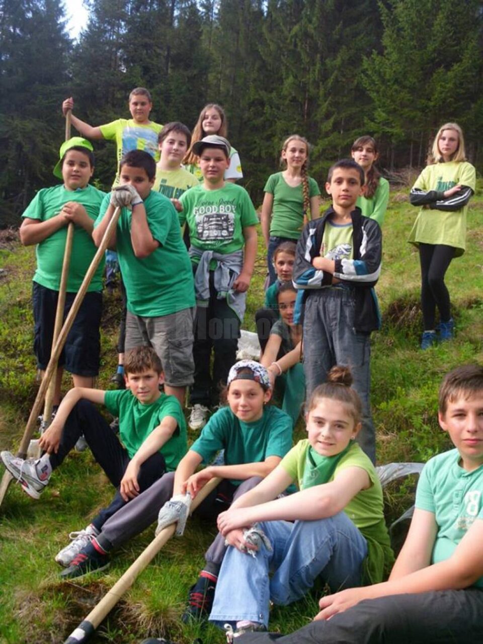 Singura alee terapeutică din regiunea de Nord-Est a fost amenajată la Colegiul „Petru Rareș” de voluntari din Ciumârna