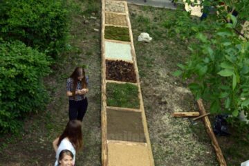Aleea terapeutică de la Colegiul Petru Rareș Suceava