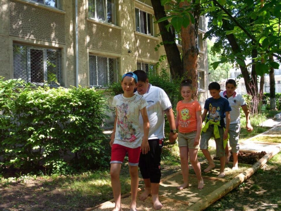 Singura alee terapeutică din regiunea de Nord-Est a fost amenajată la Colegiul „Petru Rareș” de voluntari din Ciumârna