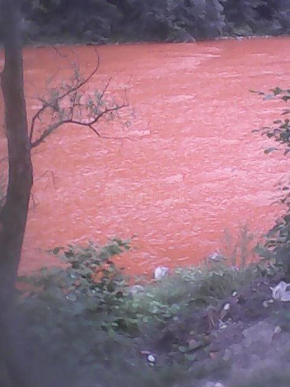 Timp de două ore, din fosta mină Isipoaia, care a aparținut de Leșu Ursului, s-au scurs aluviuni care au contaminat grav râul Bistrița