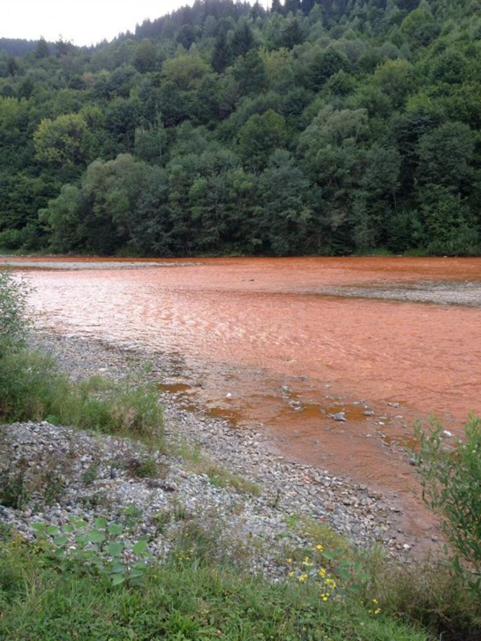 Timp de două ore, din fosta mină Isipoaia, care a aparținut de Leșu Ursului, s-au scurs aluviuni care au contaminat grav râul Bistrița