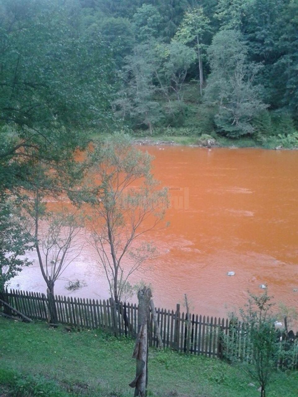 Timp de două ore, din fosta mină Isipoaia, care a aparținut de Leșu Ursului, s-au scurs aluviuni care au contaminat grav râul Bistrița