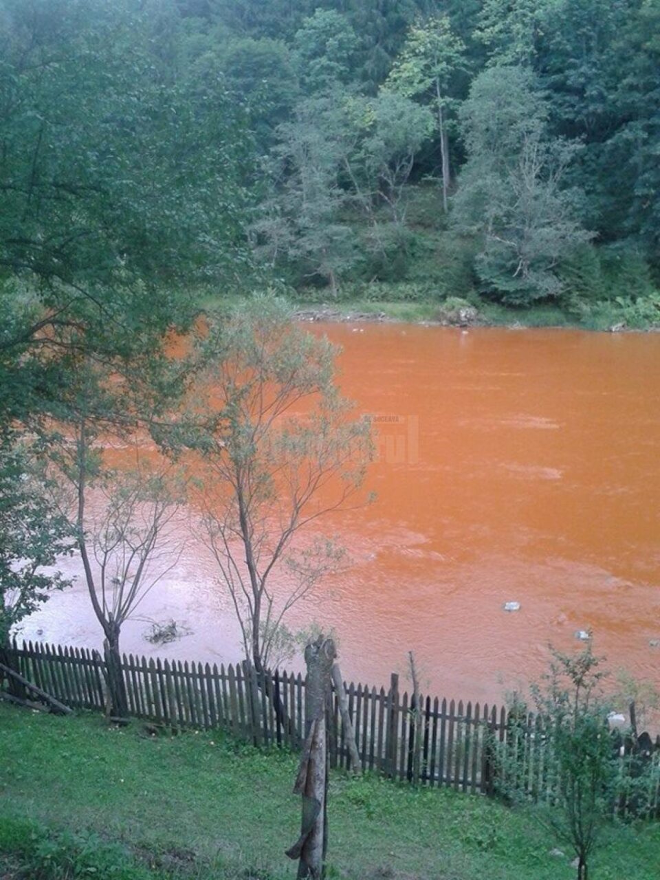 Poluarea masivă de pe râul Bistrița din după-amiaza zilei de 26 august se pare că nu are nici un vinovat Poluarea masivă de pe râul Bistrița din după-amiaza zilei de 26 august se pare că nu are nici un vinovat