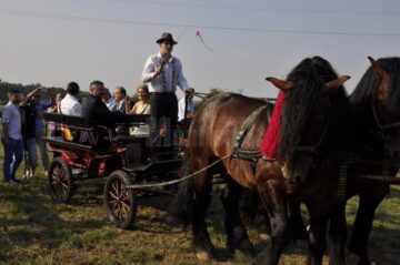 Gorghiu și Blaga s-au recules la mormântul lui Ștefan cel Mare de la Putna