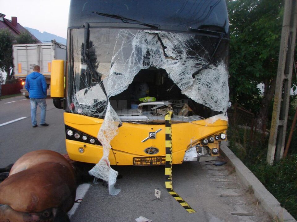 În urma impactului, tânărul de la volanul autocarului nu a mai avut nici o șansă, decedând pe loc