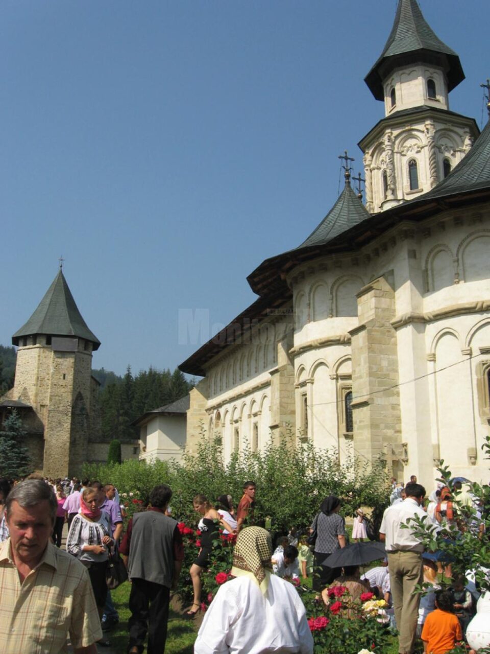 Mănăstirea Putna