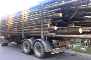 Transportul de lemn