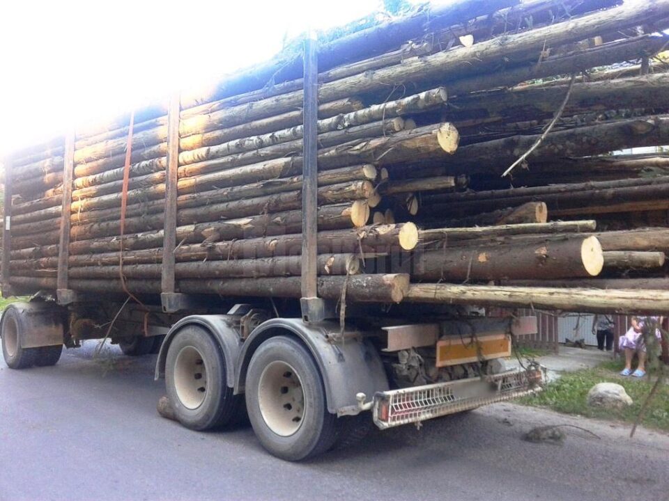 Transportul de lemn