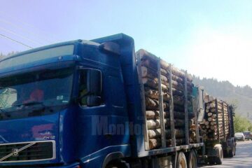 Șoferul camionului transporta o cantitate cu 10,82 mc mai mare decât cea înscrisă în documentele de transport