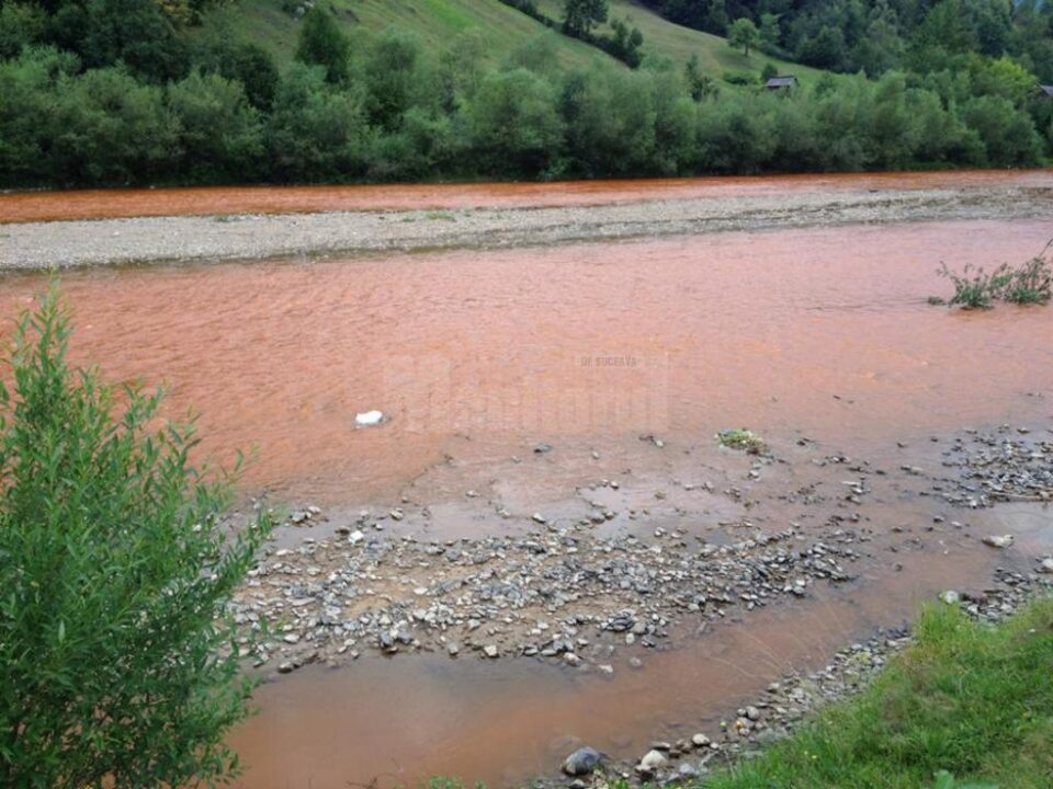 Poluarea de săptămâna trecută, când milioane de litri de apă uzată au ajuns în râul Bistrița Poluarea de săptămâna trecută, când milioane de litri de apă uzată au ajuns în râul Bistrița