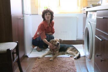 Rex a fost tratat de un medic veterinar și este îngrijit de femeia care a decis să-l salveze