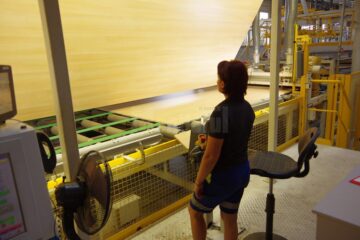 Parte din procesul tehnologic în fabricarea plăcilor de PAL