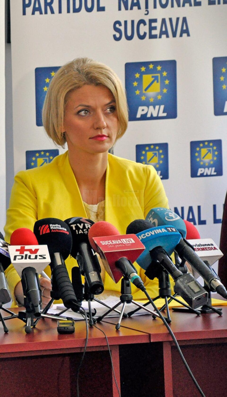Alina Gorghiu: „Decizia a fost luată pentru ineficiență în activitatea politică”