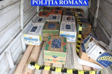 Cutiile în care erau ascunse țigările de contrabandă