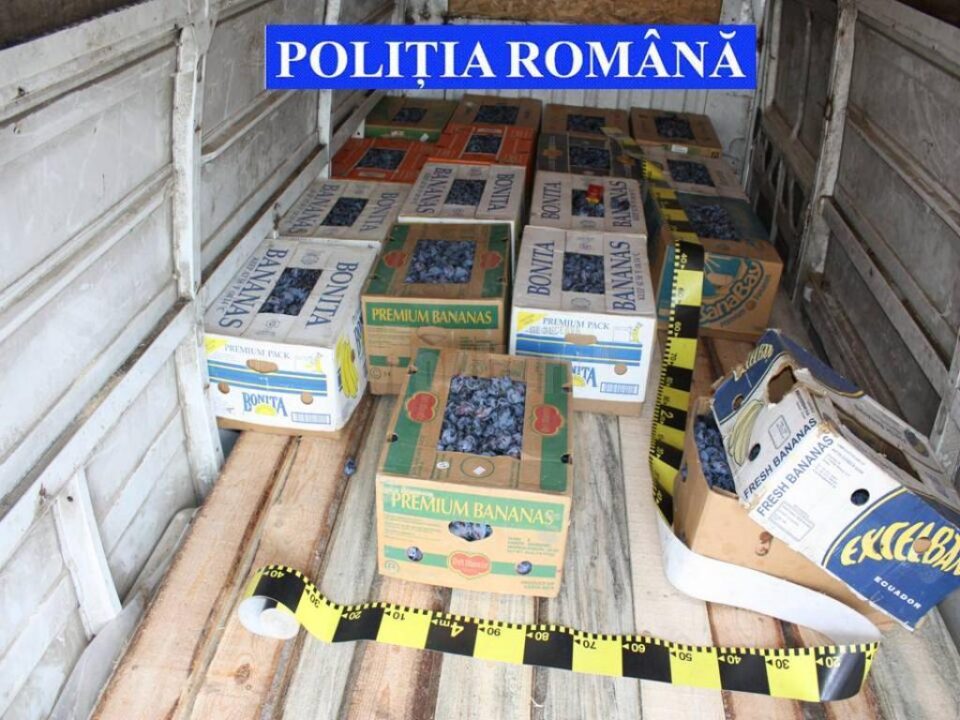 Cutiile în care erau ascunse țigările de contrabandă