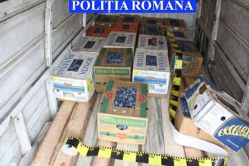 Ultima modă în materie de contrabandă: țigări cu prune