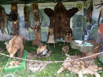 Expoziția cinegetică a Direcției Silvice Suceava