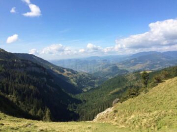 Cupa ecologiștilor la păstrăv s-a încheiat cu popularea Bistriței Aurii cu păstrăv indigen