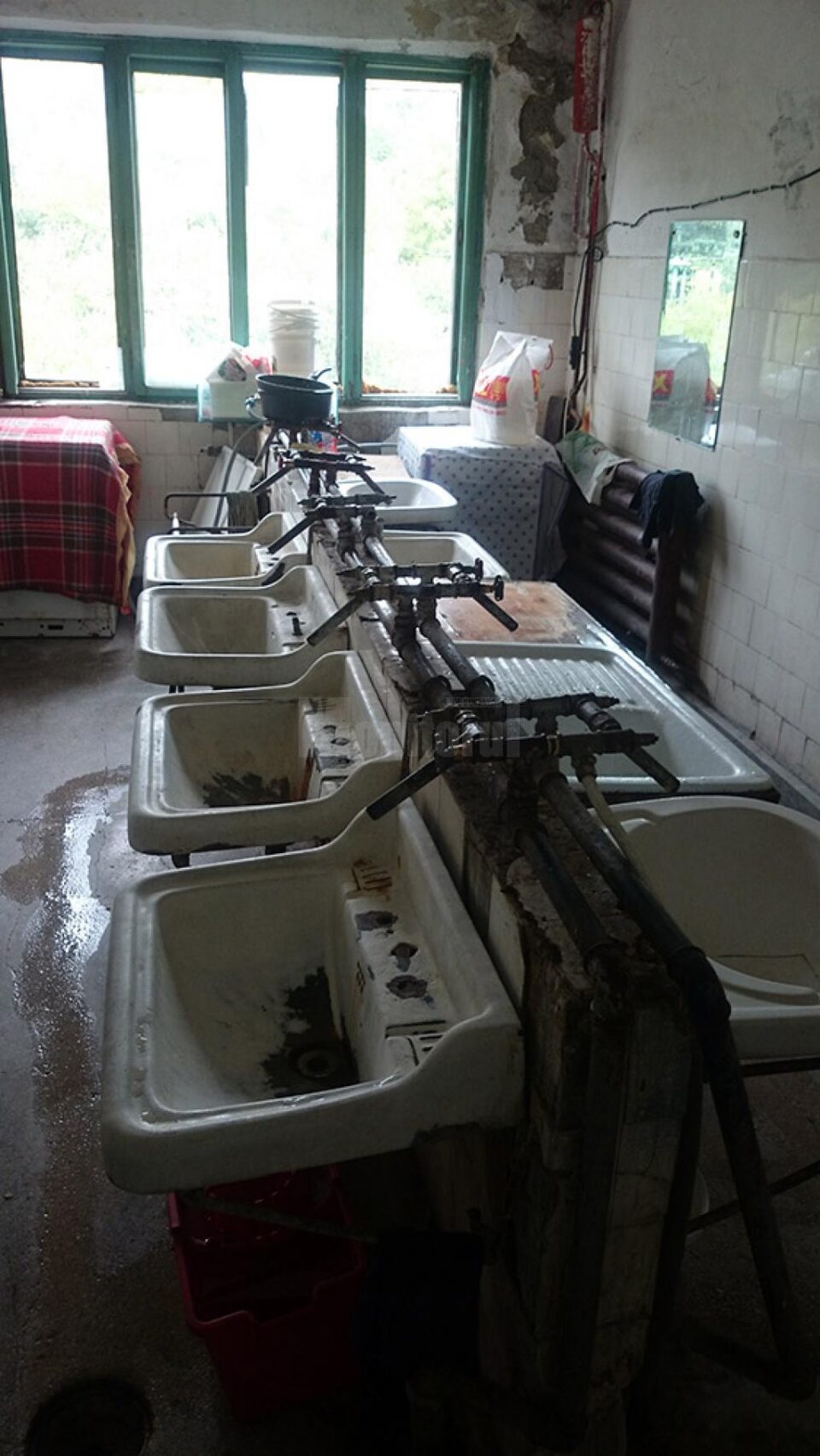 Căminul social al Primăriei Suceava, din apropierea Colegiului Tehnic „Petru Mușat” Igrasia și rugina sunt omniprezente în băile clădirii