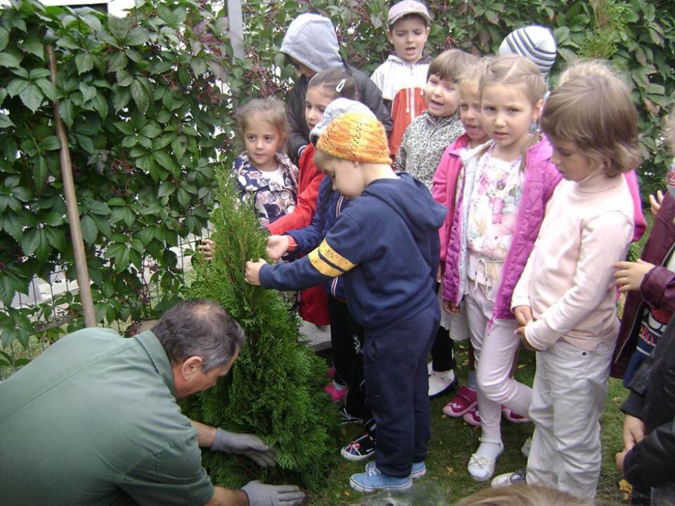 Campania ,,Plant a tree for peace’’ 2015, la Grădinița „Așchiuță”