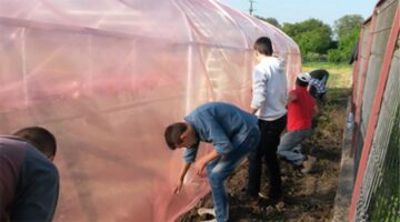 Elevii școlii din Oniceni au construit o seră de legume în curtea instituției