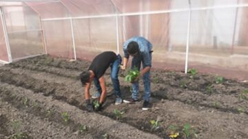 Elevii școlii din Oniceni au construit o seră de legume în curtea instituției