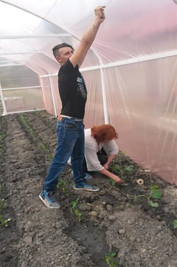 Elevii școlii din Oniceni au construit o seră de legume în curtea instituției