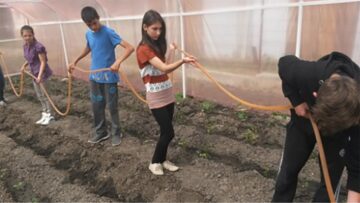 Elevii școlii din Oniceni au construit o seră de legume în curtea instituției