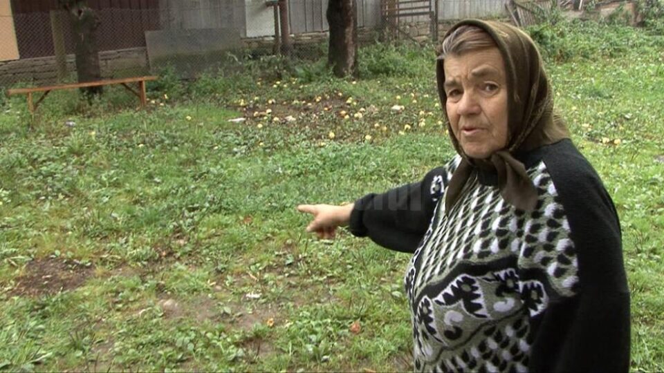 Rodica Calancea a asistat neputincioasă la agresiune
