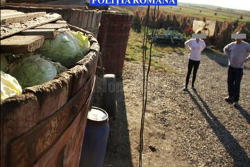 Hoți ce au furat 10 tone de varză, prinși de polițiști