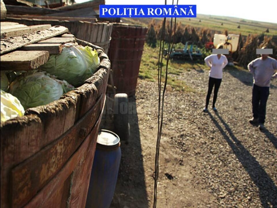 Hoți ce au furat 10 tone de varză, prinși de polițiști