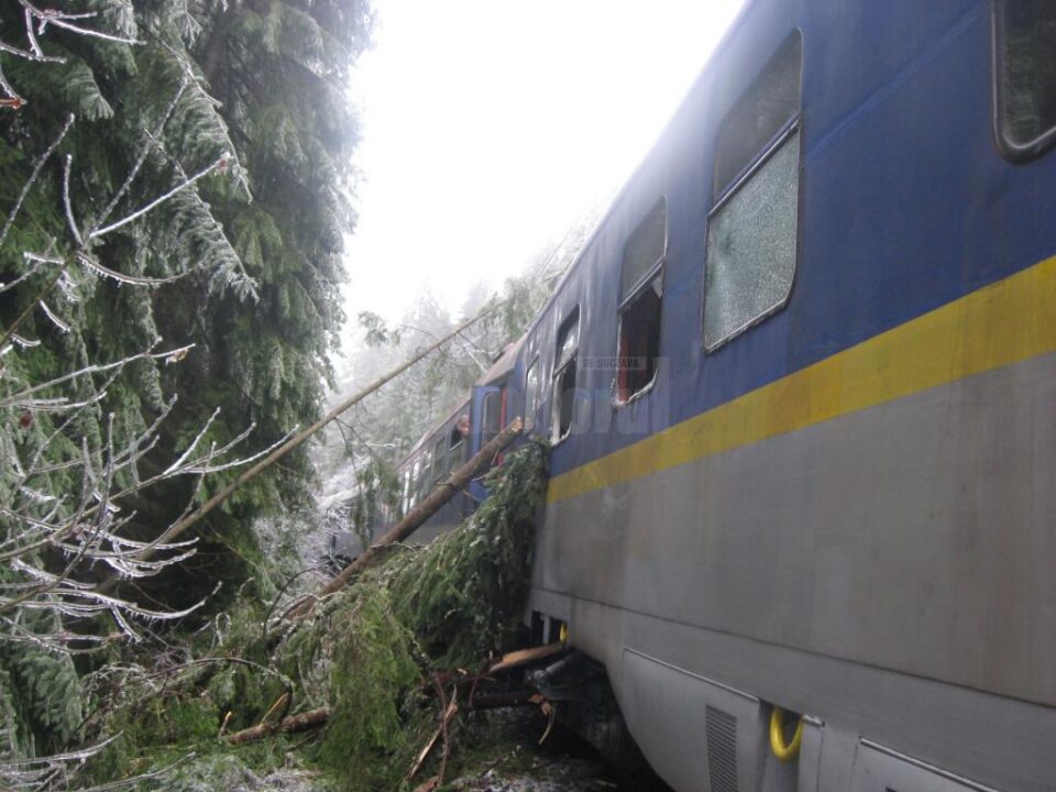 Tren blocat în pădure, la gura unui tunel