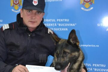 Câinele Olly, de la ISU Suceava, campion național la categoria „Câine de căutare/salvare persoane sub dărâmături”