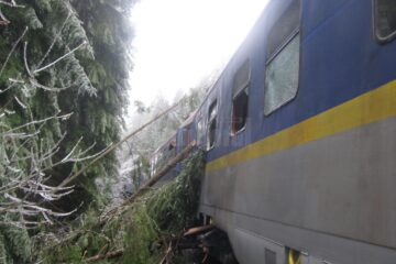 Acceleratul, blocat în pădure, la gura unui tunel