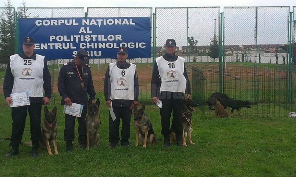 Un câine al ISU Suceava, campion național la exerciții de căutare a victimelor de sub dărâmături