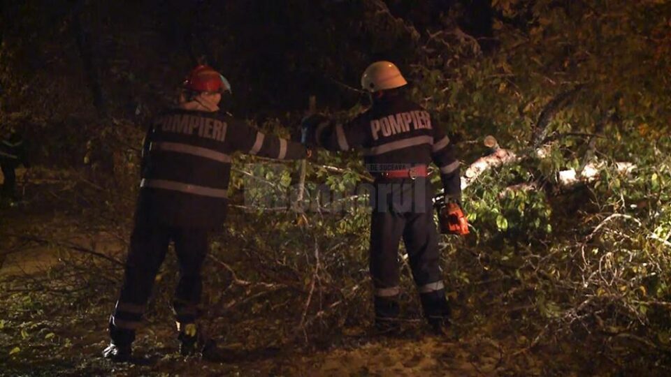 Centralele termice nu au putut funcționa în lipsa curentului electric, după ce mai mulți arbori au rupt rețelele