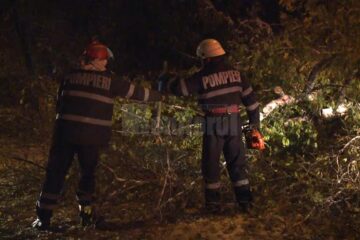 Centralele termice nu au putut funcționa în lipsa curentului electric, după ce mai mulți arbori au rupt rețelele