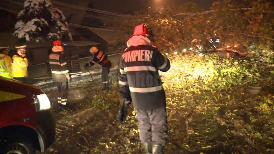 Cele mai multe solicitări au fost pentru îndepărtarea unor copaci căzuți pe carosabil sau peste mașini